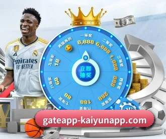 开云体育 APP 深度功能 | kaiyun